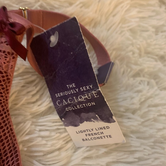 Cacique 42DDD Pink Lace Bra NWT French Balconette - Picture 3 of 4